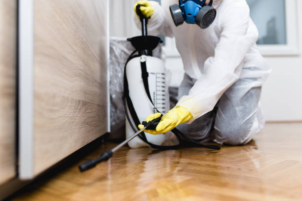 Best Emergency Pest Control  in Spencer, WI
