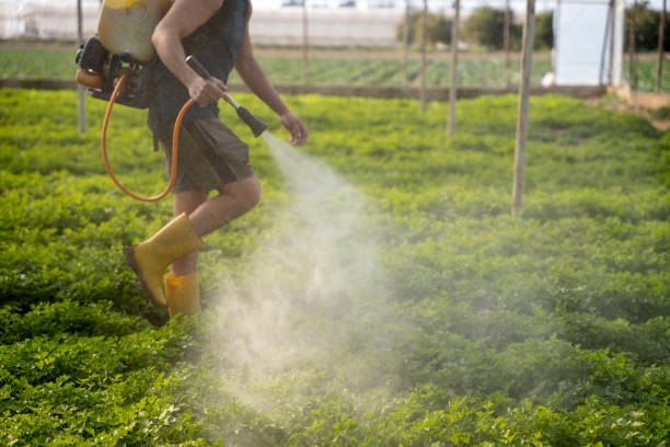 Best Wildlife Control Services  in Spencer, WI