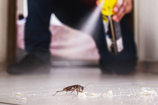 Reliable Spencer, WI Pest Control Solutions